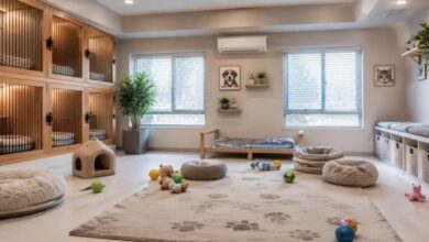 Pet Otel Sektörü: Yeni Bir Yatırım Alanı 47 pet otel