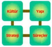 Kurumsal gelisim