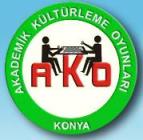 akademik kulturleme