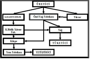 aycicegi pazarlama kanallari3