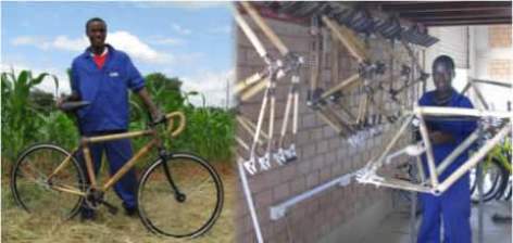 İş Fikri : Global Marka Olmuş Bambu Bisikletler 20 banbu bisiklet