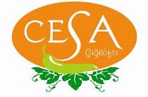 cesa cigkofte