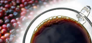 Kişiye Özel Kahve Aroması İş Fikri 24 kahve aromasi