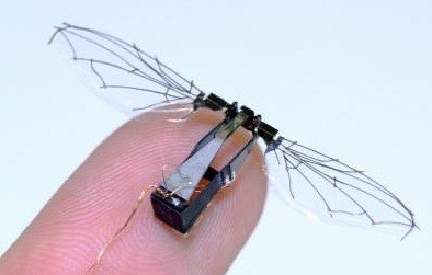mikro robotlar