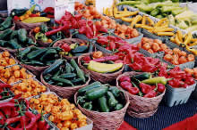 Doğal Çiftlik Ürünleri Pazarı Kurma İş Fikirleri 18 organik urunler