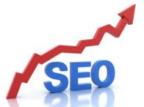 seoegitim