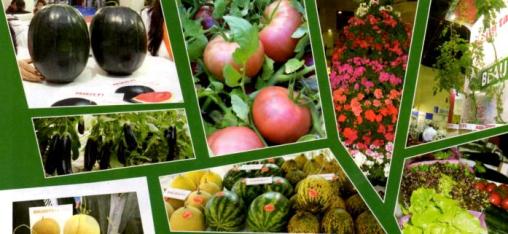 Tarımda İnovasyon “yaratıcı yenilikçilik” 59 tarimda inovasyon